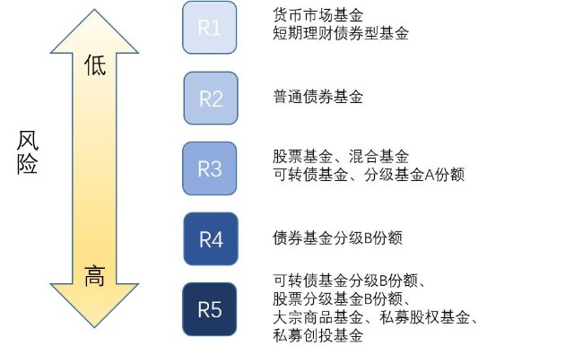我市健儿在广西第十四届学生运动会斩获佳绩